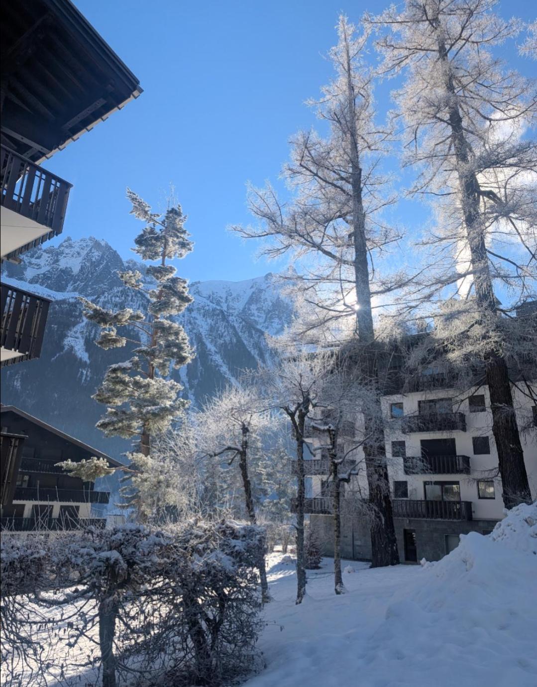 Au Petit Bois Apartment Chamonix Luaran gambar